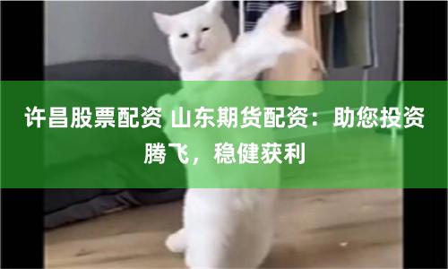许昌股票配资 山东期货配资：助您投资腾飞，稳健获利