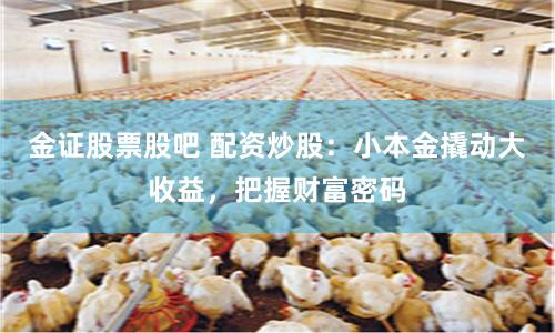 金证股票股吧 配资炒股：小本金撬动大收益，把握财富密码