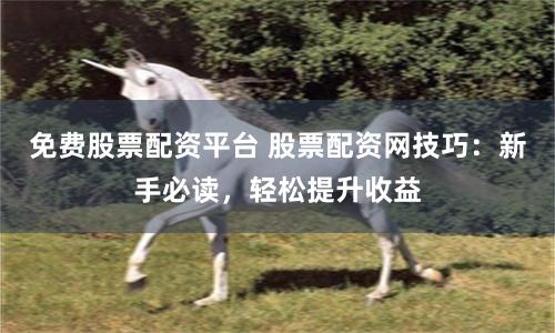 免费股票配资平台 股票配资网技巧：新手必读，轻松提升收益