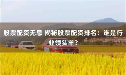 股票配资无息 揭秘股票配资排名：谁是行业领头羊？