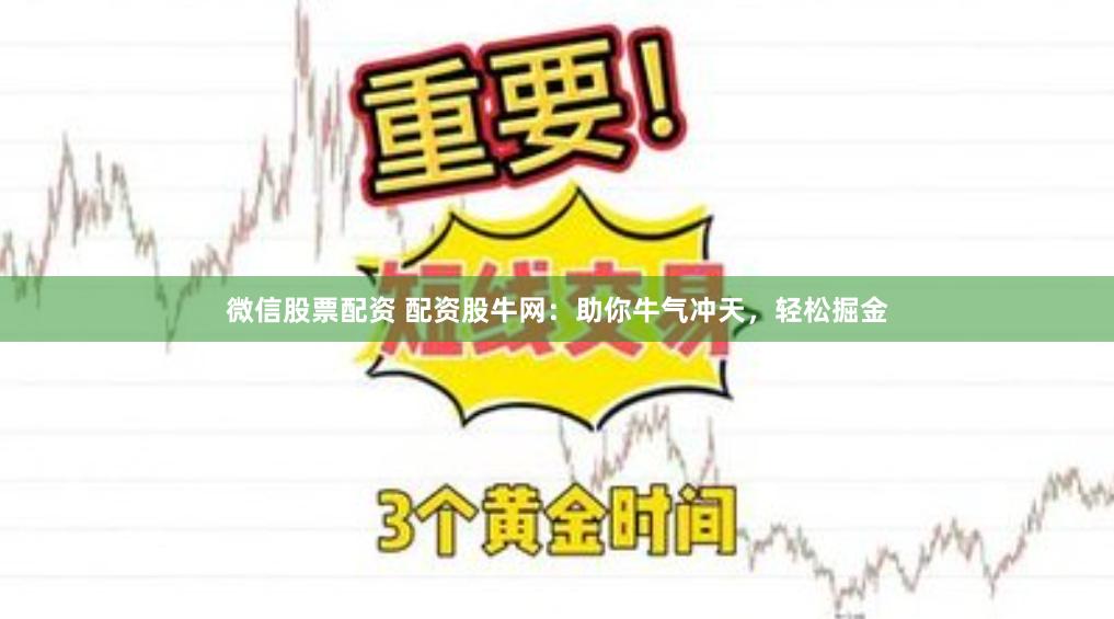微信股票配资 配资股牛网：助你牛气冲天，轻松掘金