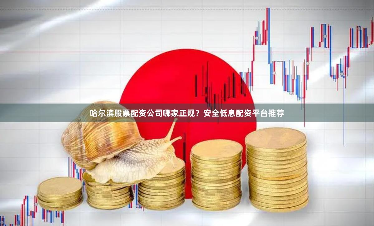 哈尔滨股票配资公司哪家正规？安全低息配资平台推荐