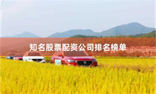 知名股票配资公司排名榜单